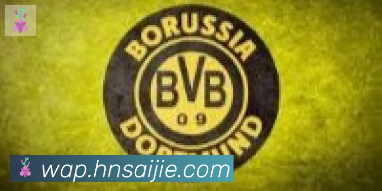 乐鱼网页版在线登录合作伙伴